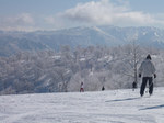 P1000751.jpg